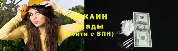 экстази Ельня