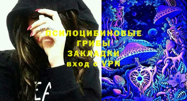 дживик Заводоуковск